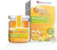Forte Pharma Propolis Intense Gelée Pot/40g à SAINT ORENS DE GAMEVILLE